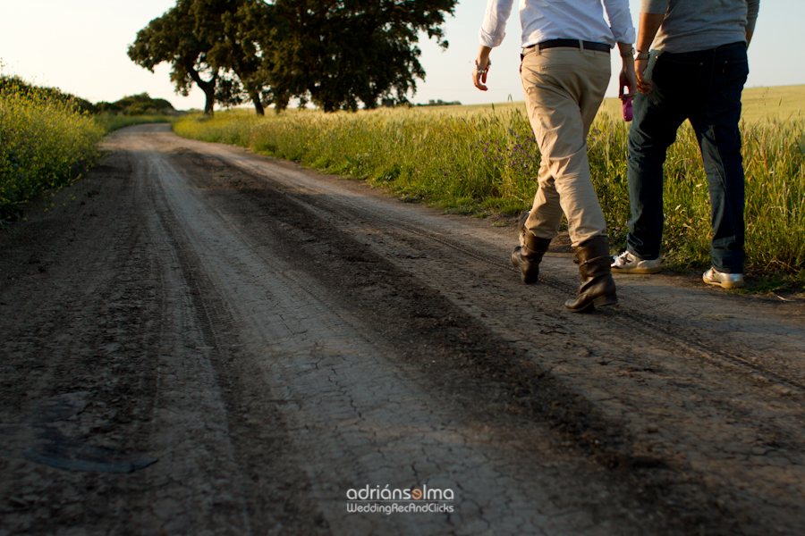 preboda-camel01
