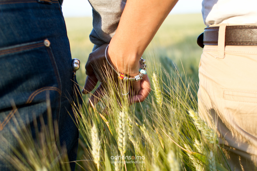 preboda-camel
