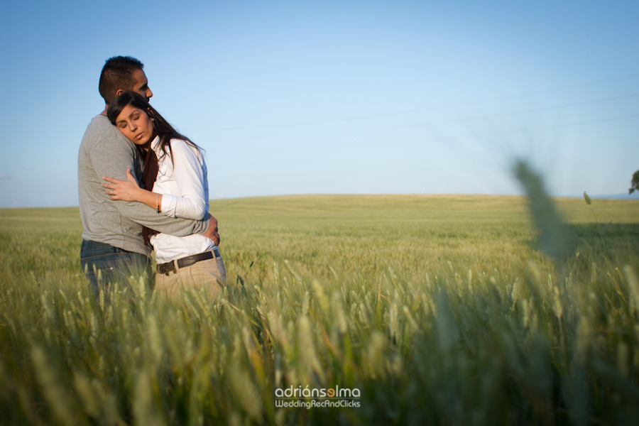 preboda-camel