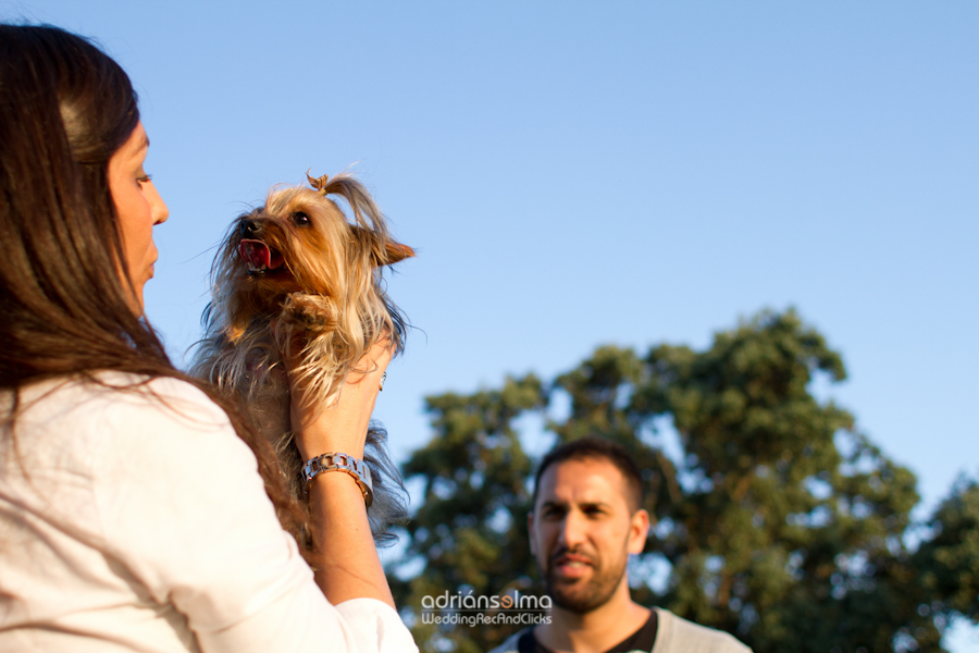 preboda-camel01