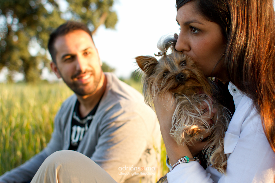 preboda-camel01