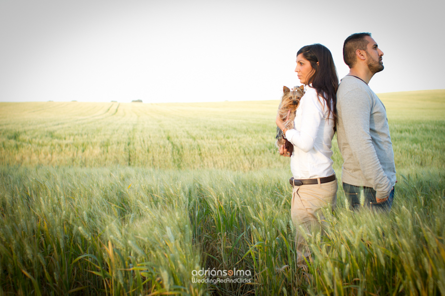 preboda-camel01