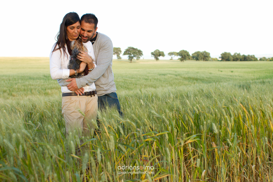 preboda-camel01