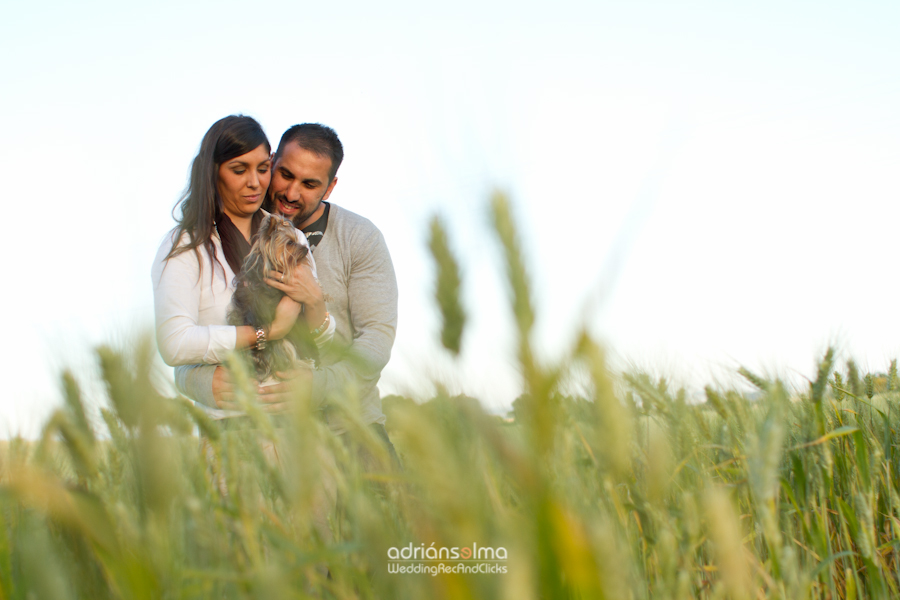 preboda-camel01