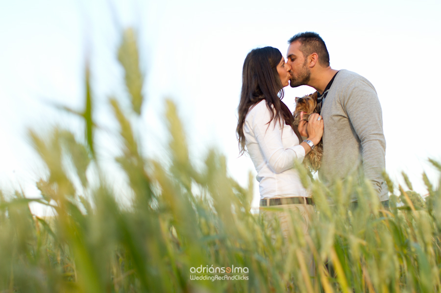 preboda-camel01