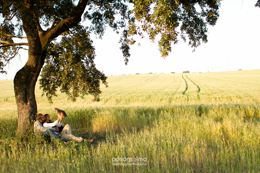 preboda-camel01