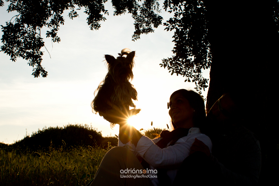 preboda-camel01