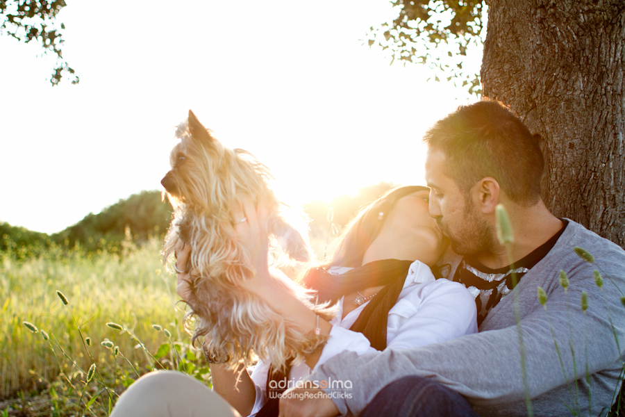 preboda-camel01