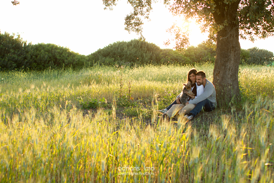 preboda-camel01