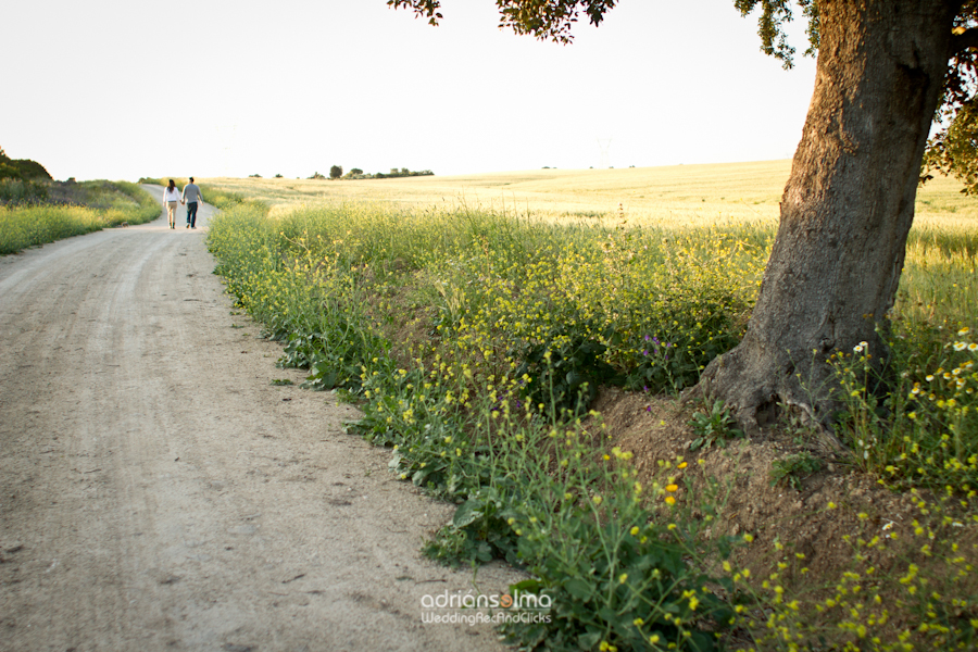 preboda-camel01