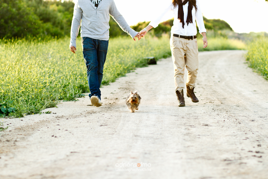 preboda-camel01