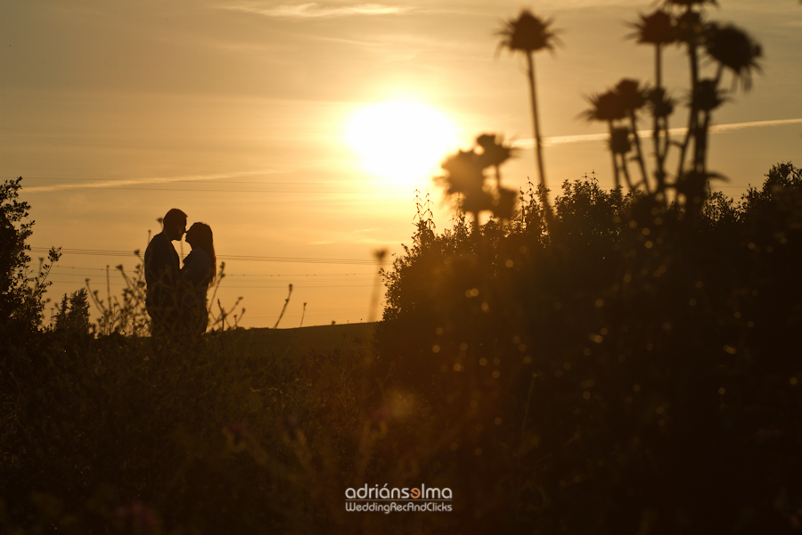 preboda-camel01