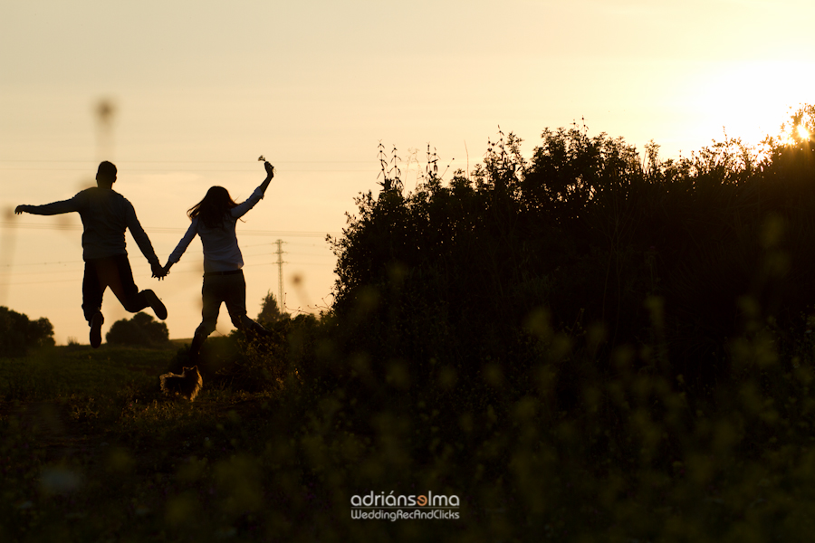 preboda-camel01