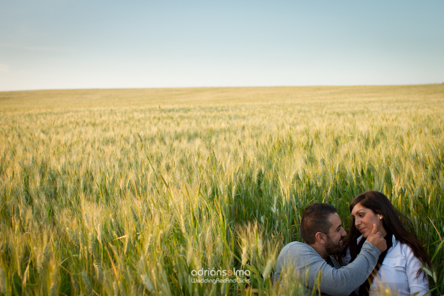 preboda-camel01