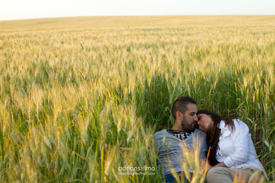 preboda-camel01