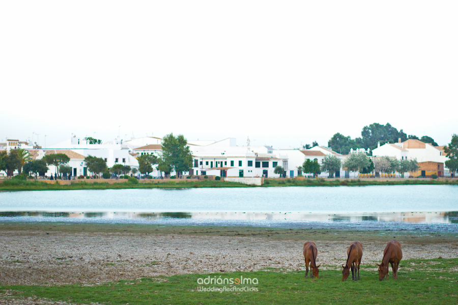 fotografo-bodas-el-rocio-almonte
