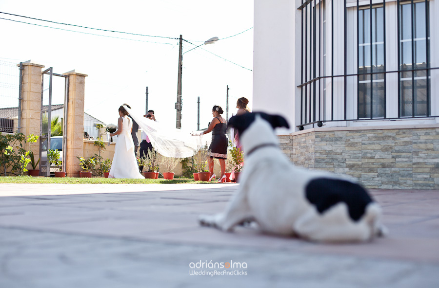 boda-tamara-alvaro-fotografo-jerez-castillo-luma0-1