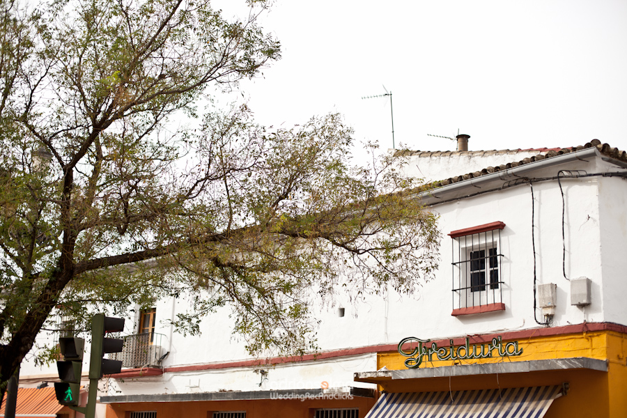 freidorsantiago-1