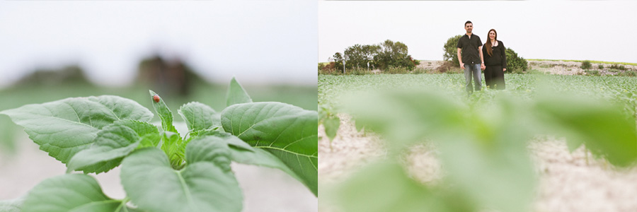 fotografo bodas jerez