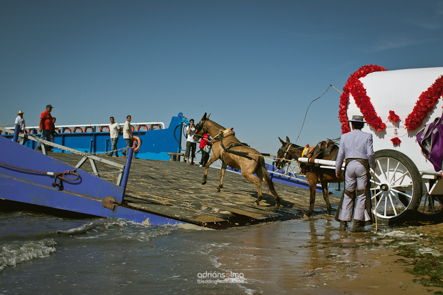 rocio jerez 2012