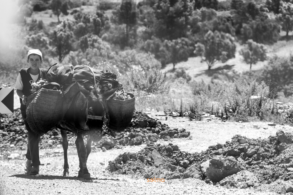 fotografo bodas marruecos