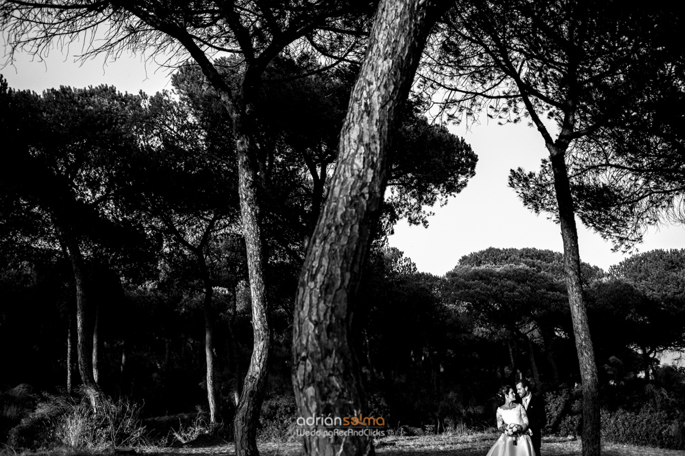 fotografo bodas jerez