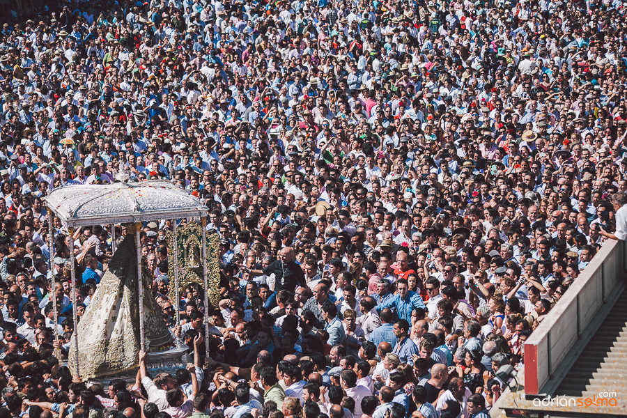 romeria rocio 2014