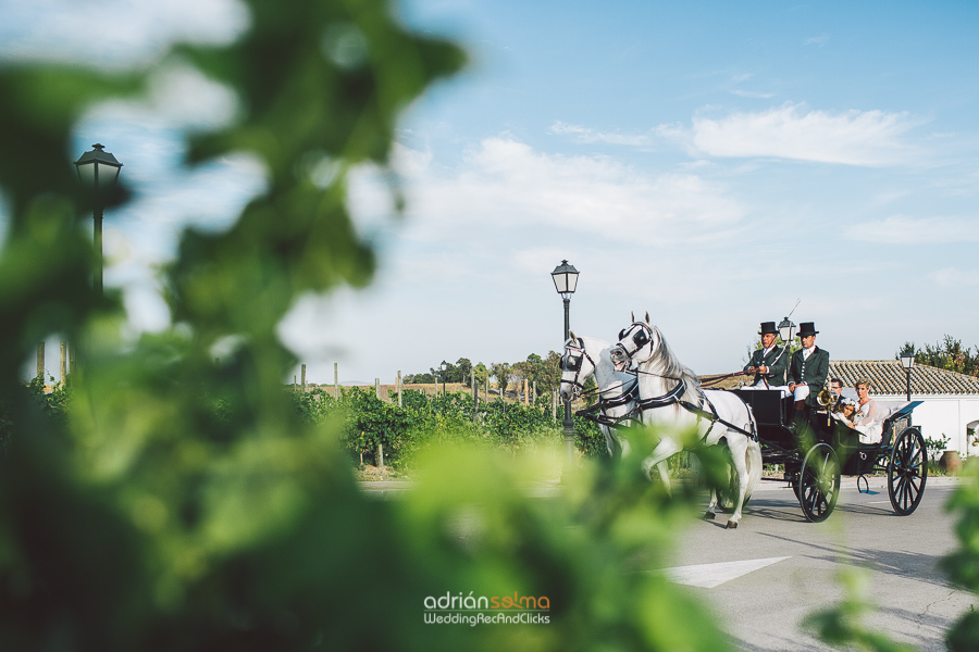 fotografo bodas jerez