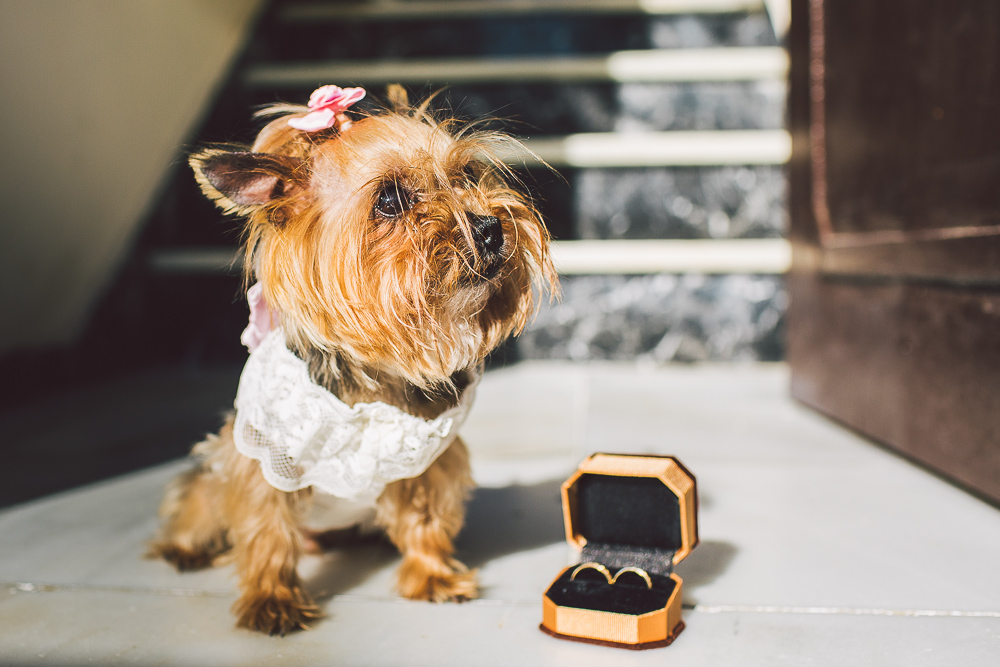 fotografo de bodas en Cadiz