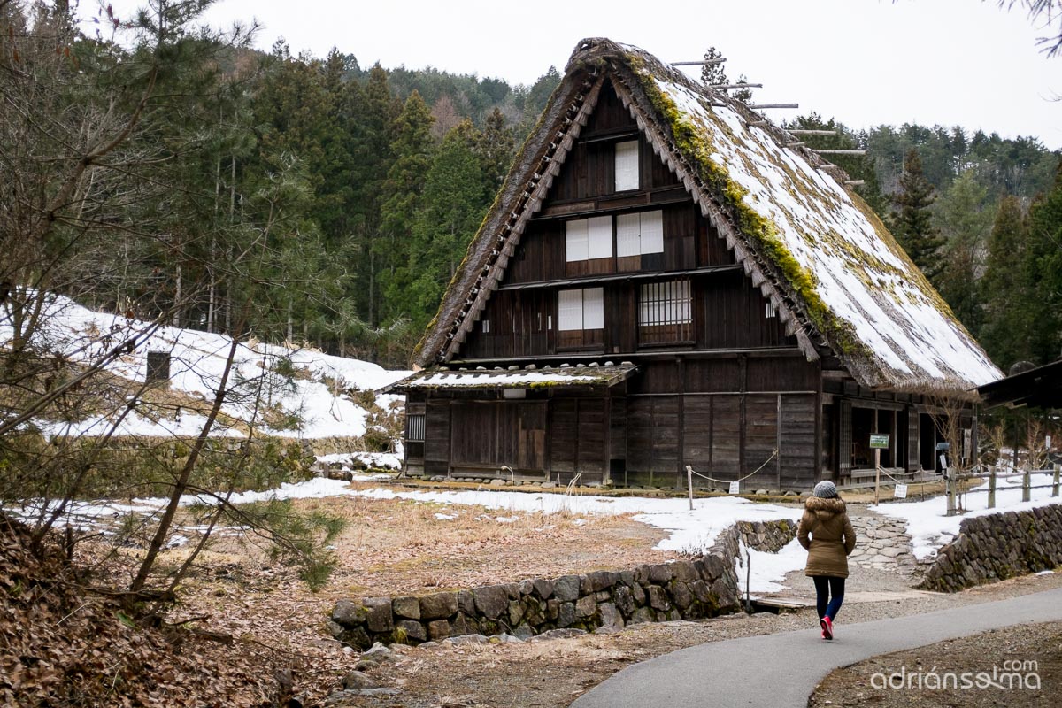 fotografias viaje tokio