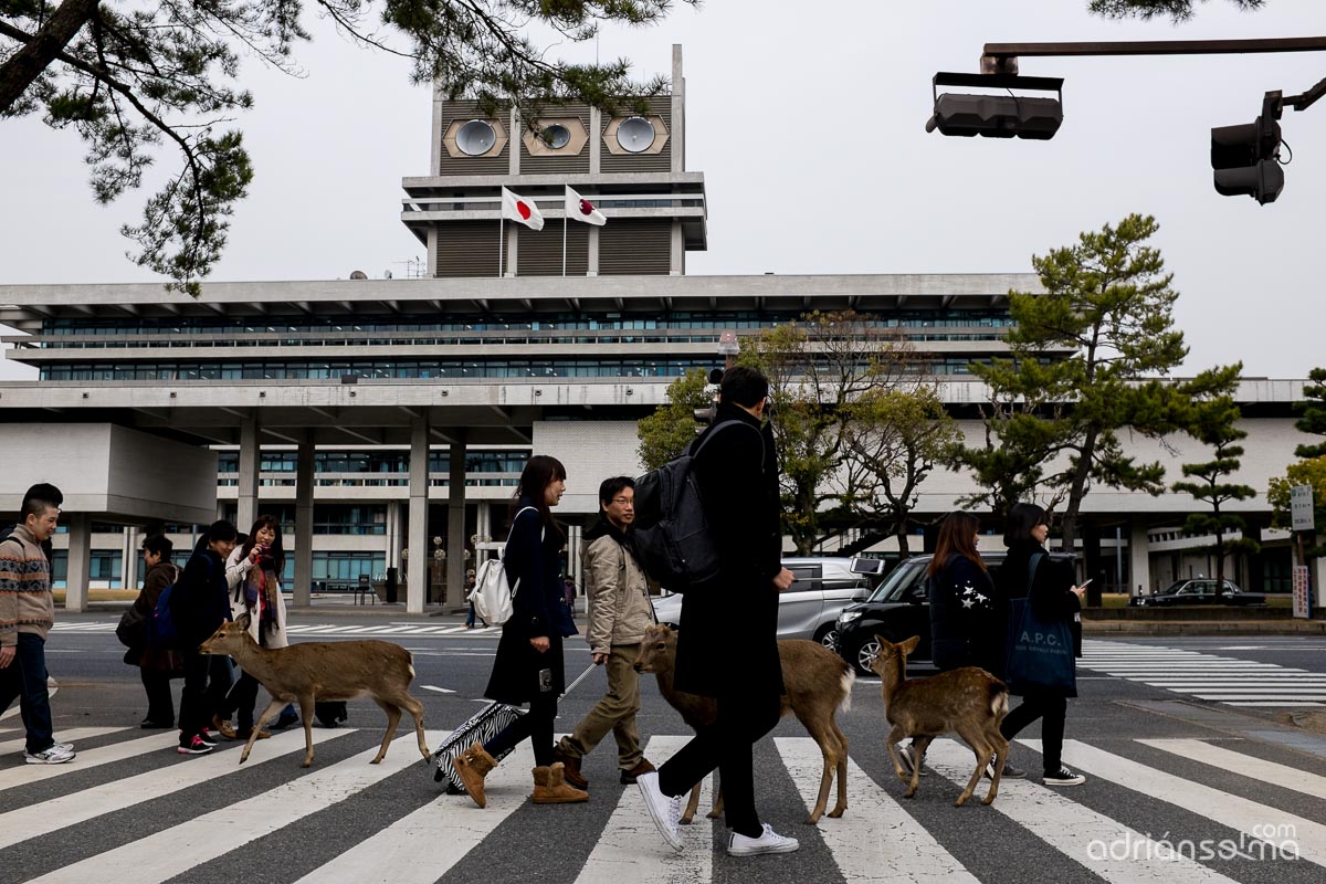 fotografias viaje tokio