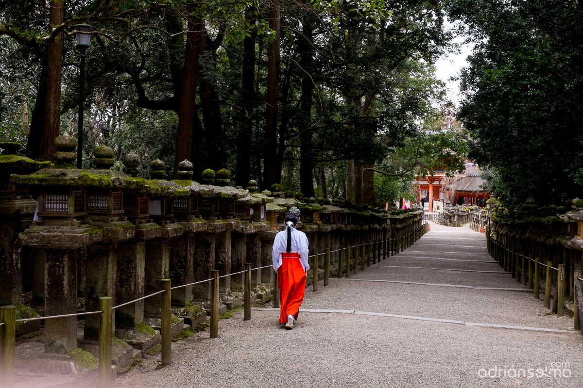 fotografias viaje tokio