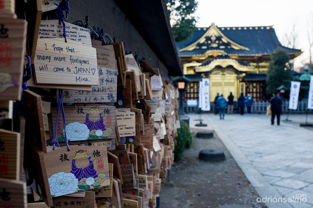 fotografias viaje japon