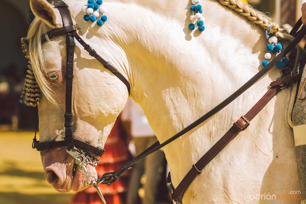 feria-del-caballo-jerez-10