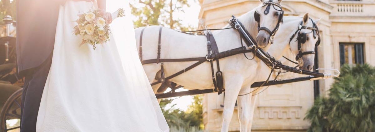 boda-caballos-real-escuela-andaluza-arte-ecuestre