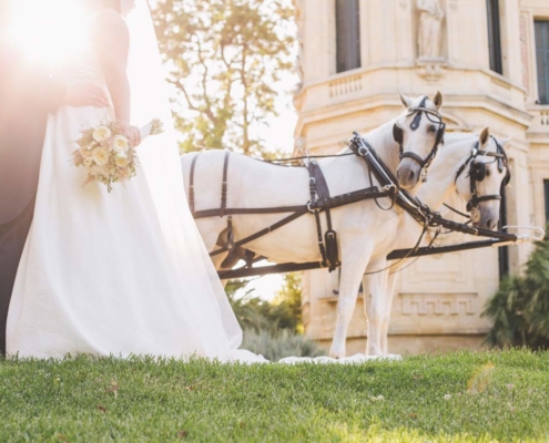 boda-caballos-real-escuela-andaluza-arte-ecuestre