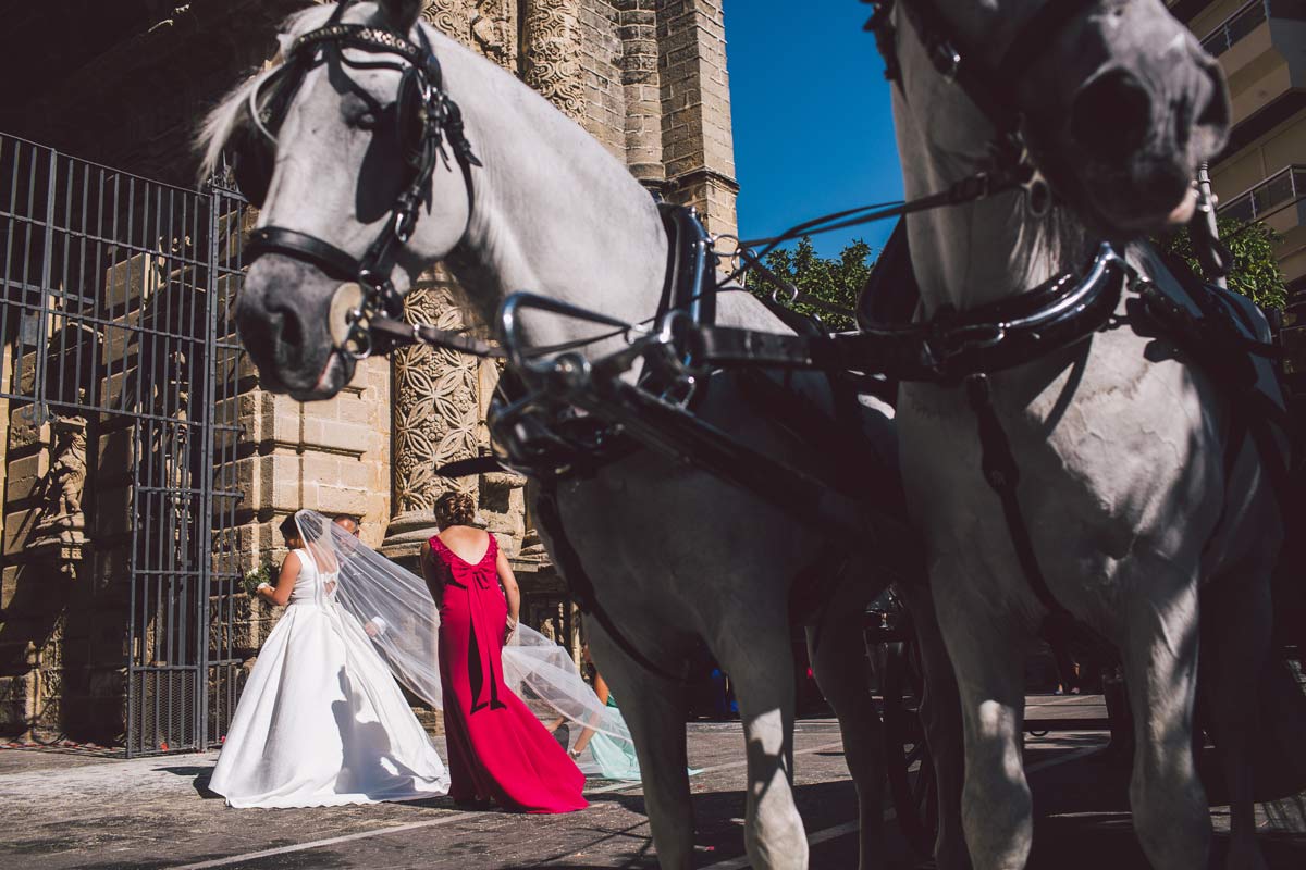 coche-caballos-real-escuela-boda