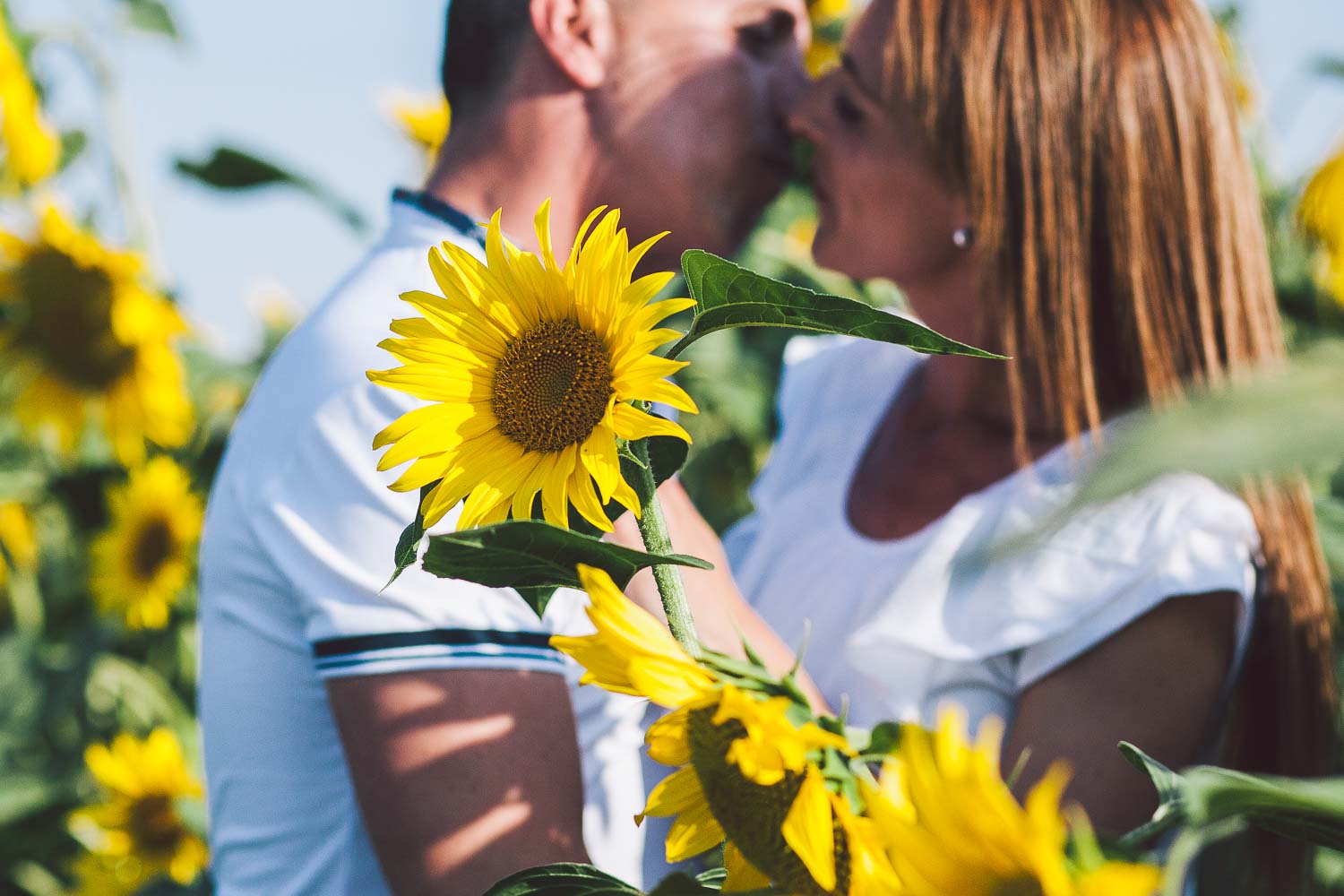 preboda-campo-jerez-0003