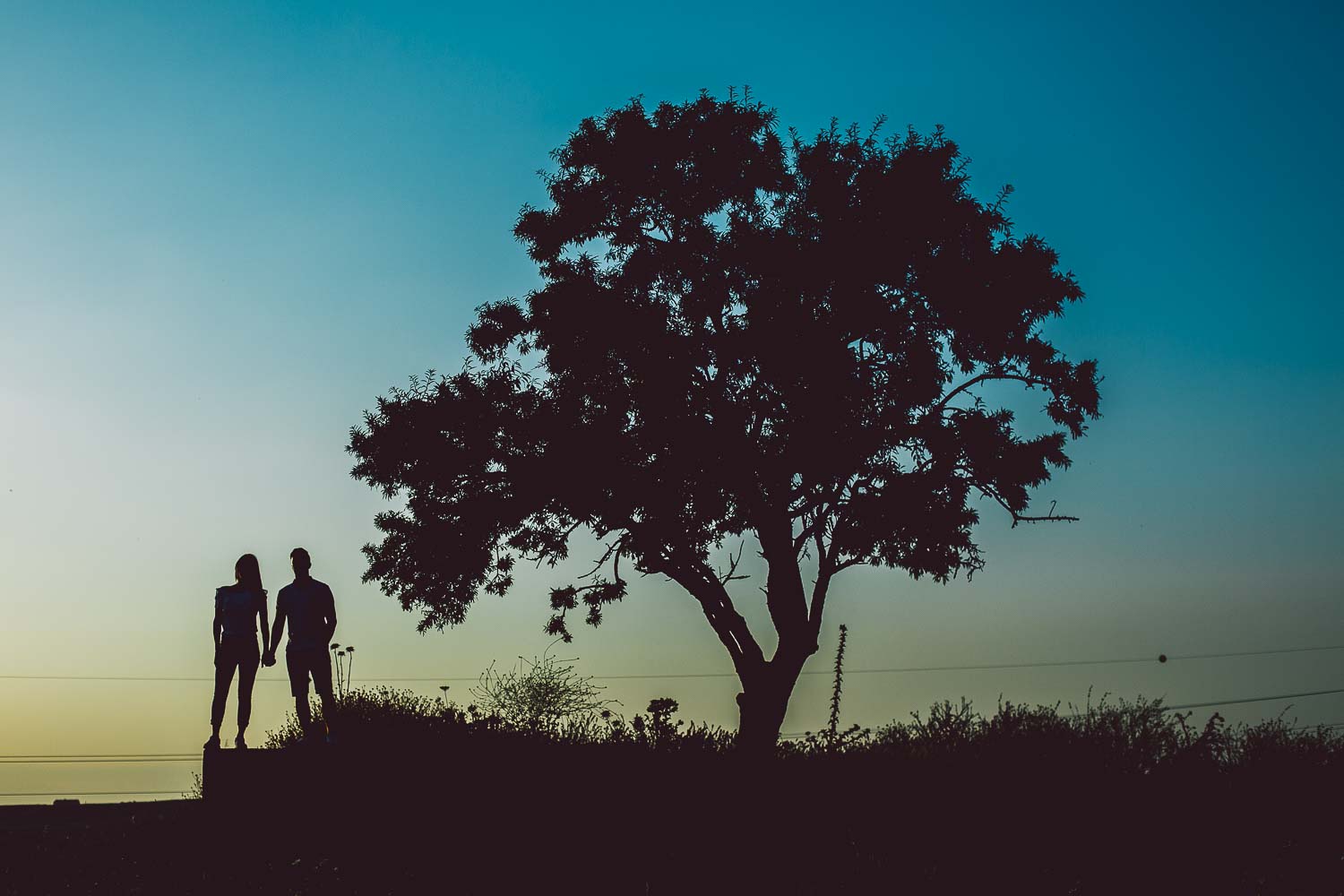 preboda-campo-jerez-0006