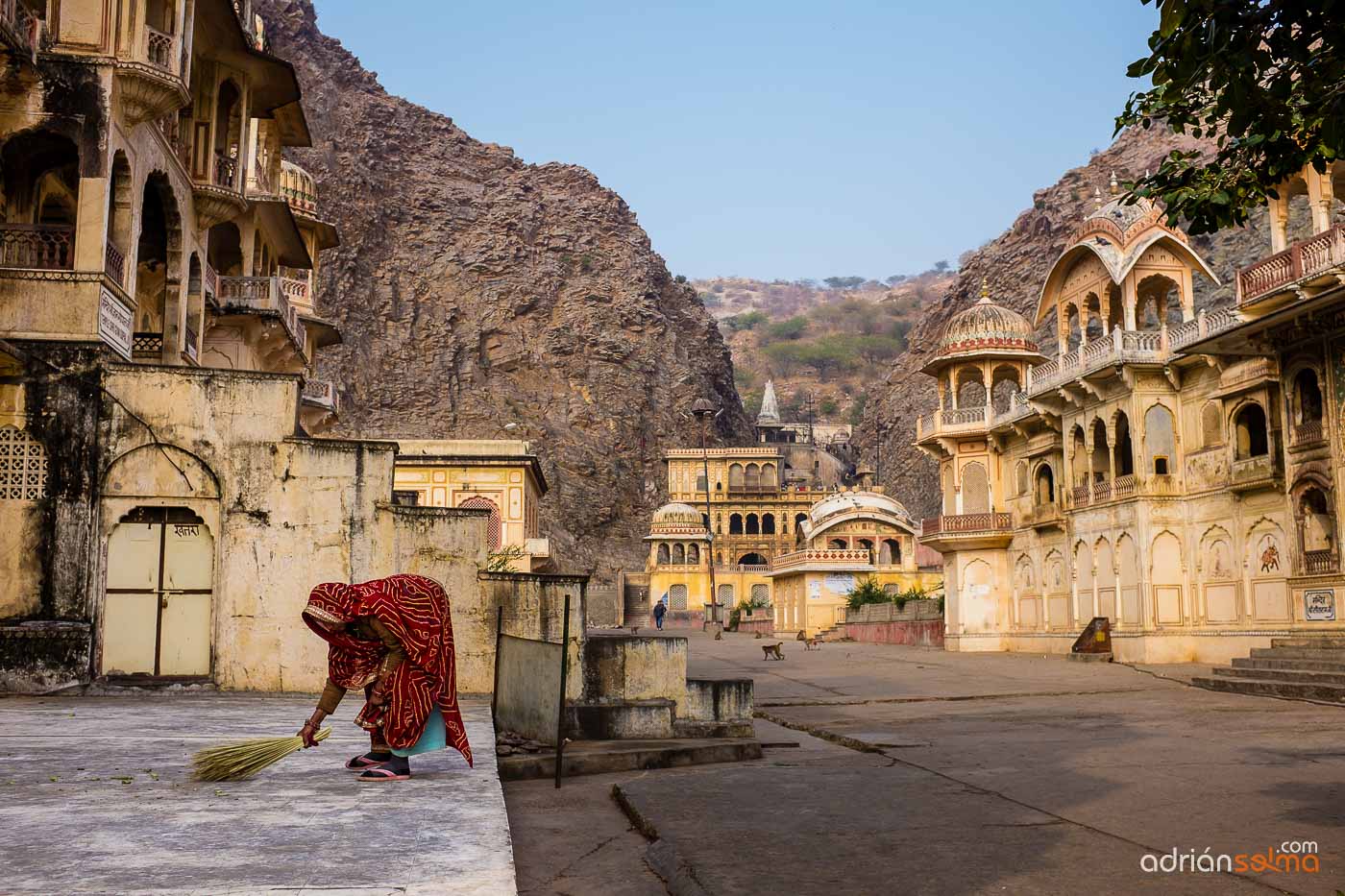 templo de los monos jaipur