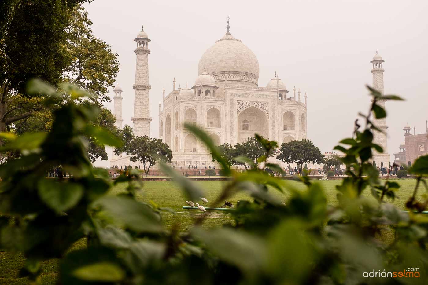 Vista del impresionante Taj Mahal desde sus jardines